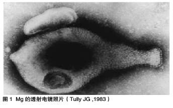 blob.png