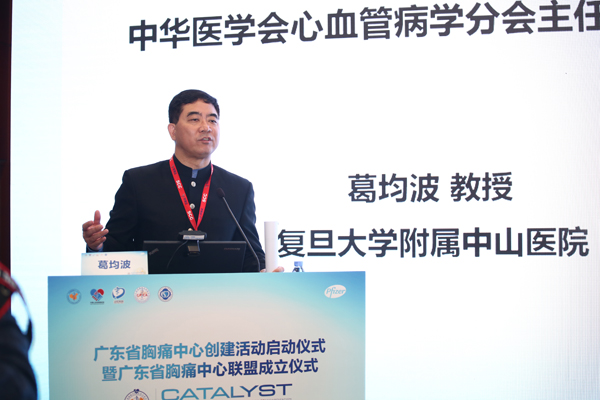 葛洪波 教授.JPG