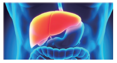blob.png