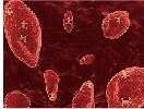 blob.png