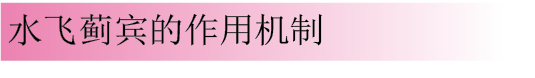 blob.png