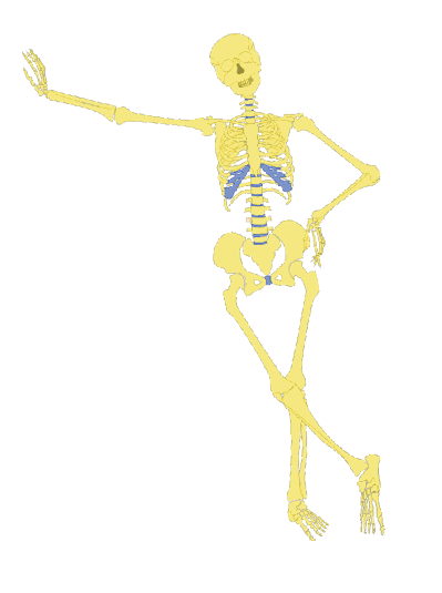 blob.png