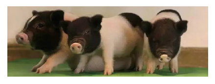 blob.png