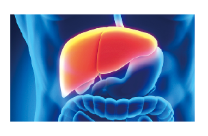 blob.png