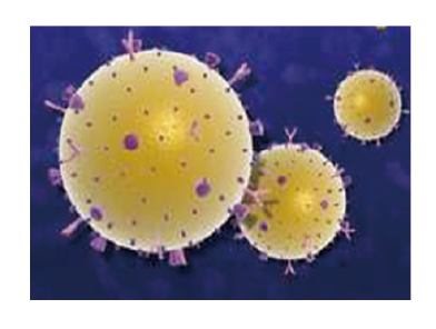 blob.png