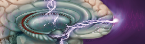 blob.png
