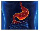 blob.png