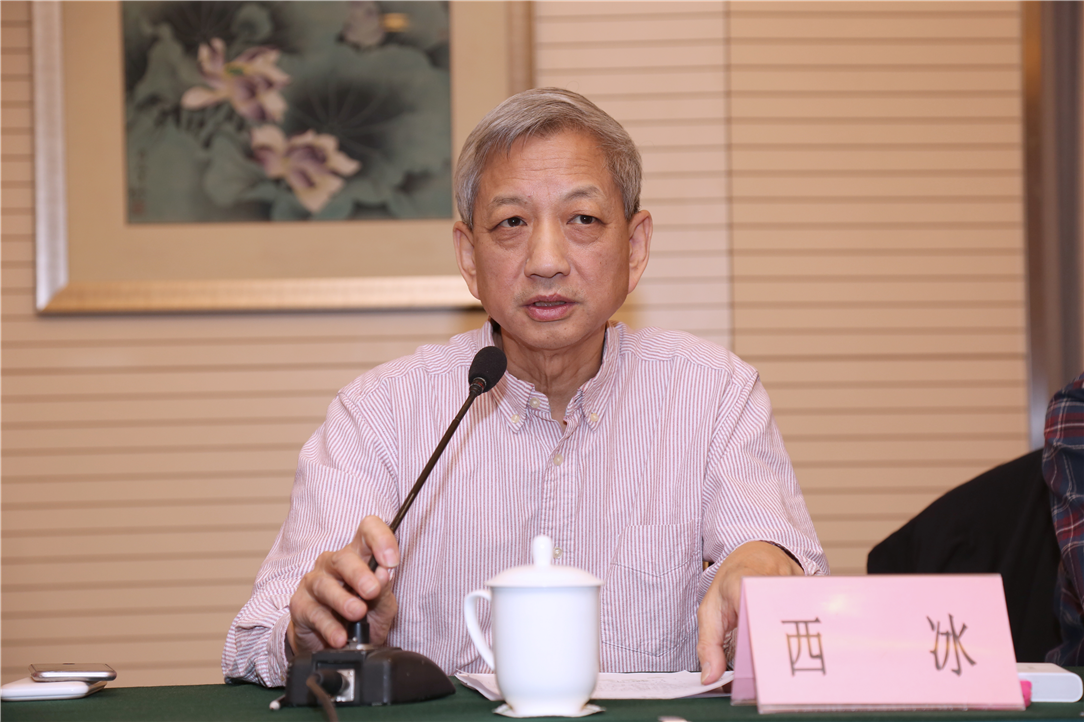 中国电视艺术家协会纪录片学术委员会副会长西冰.png