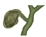 blob.png
