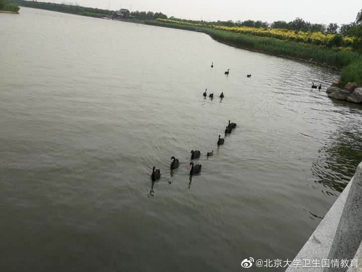 微信图片_20190710124552.jpg