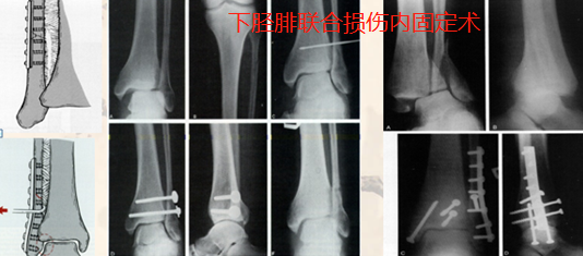 图片10.png