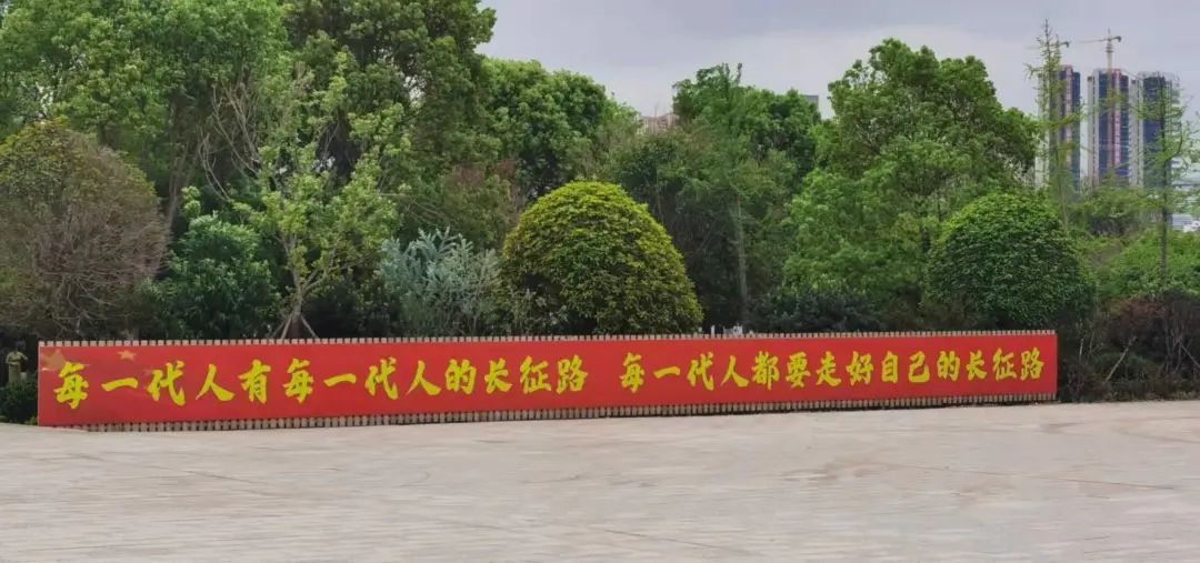 1616480113425840.png image.png