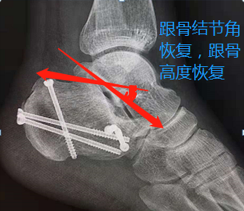 图片9.png