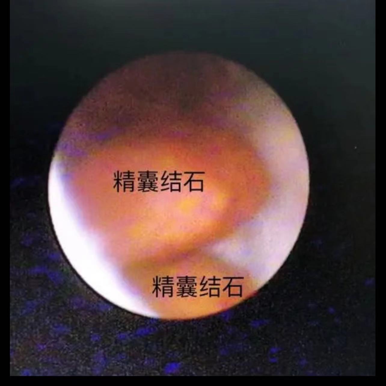 0bcbd3daa272908cba643ffdc879cce.jpg