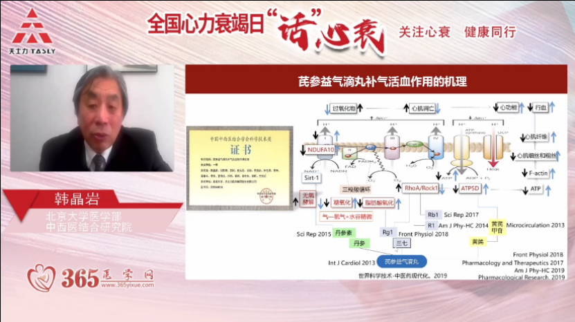 全国心力衰竭日话心衰丨中西医智慧碰撞，再现心力衰竭诊疗新气象（最终定稿）(5)(1)(1)(1)1083.png