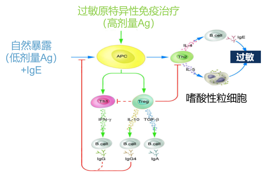 QQ图片20230401203413.png