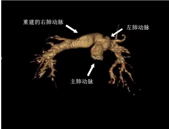 微信图片_20230518091308.png