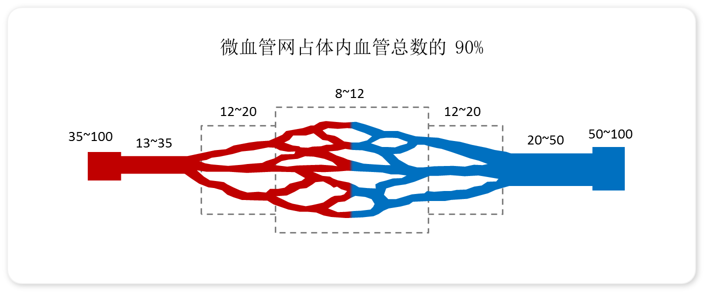 微信图片_20240221101018.png