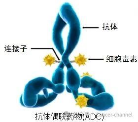微信图片_20240513203037.jpg