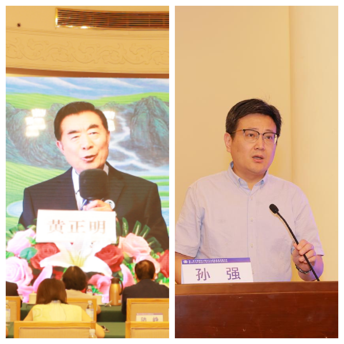 图1片2_副本.png