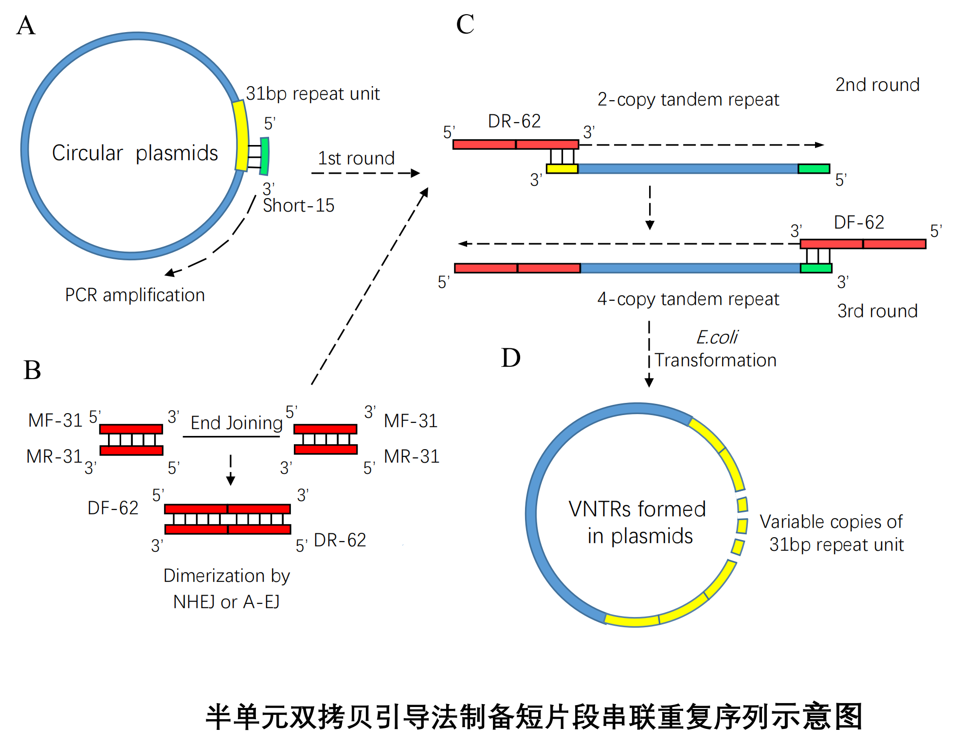 PCR.PNG