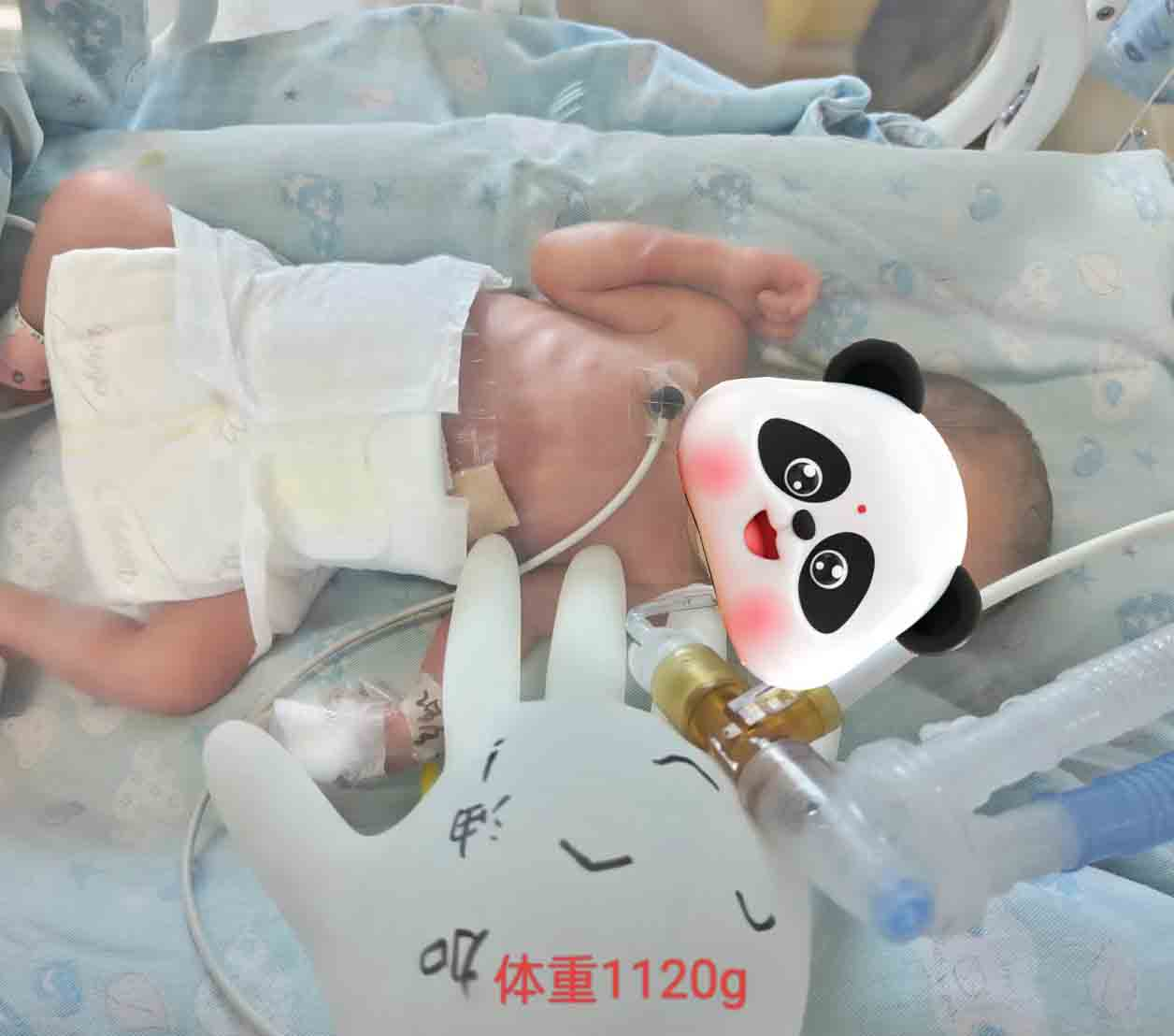 1722920131457338.png 图片1(20).png
