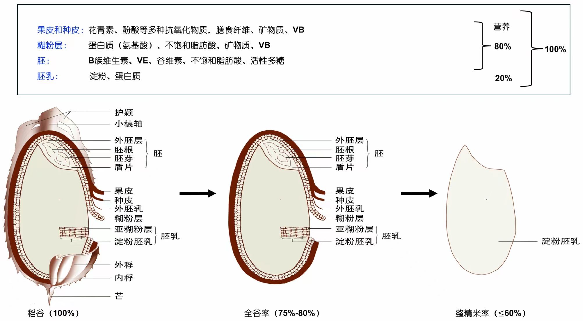 微信图片_20241218144345.jpg