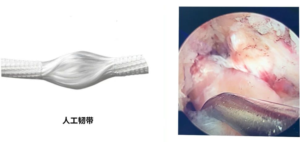 微信图片_20250402103446.jpg