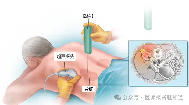 微信图片_20250408123231.png