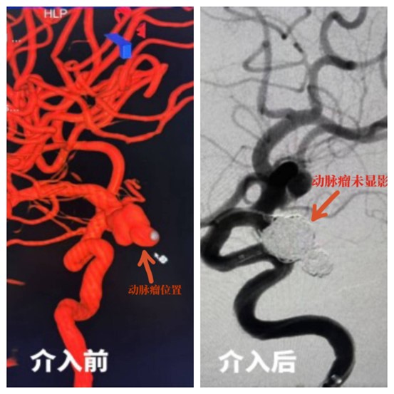 图片2.jpg