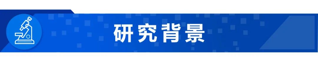 微信图片_20250510192449.jpg