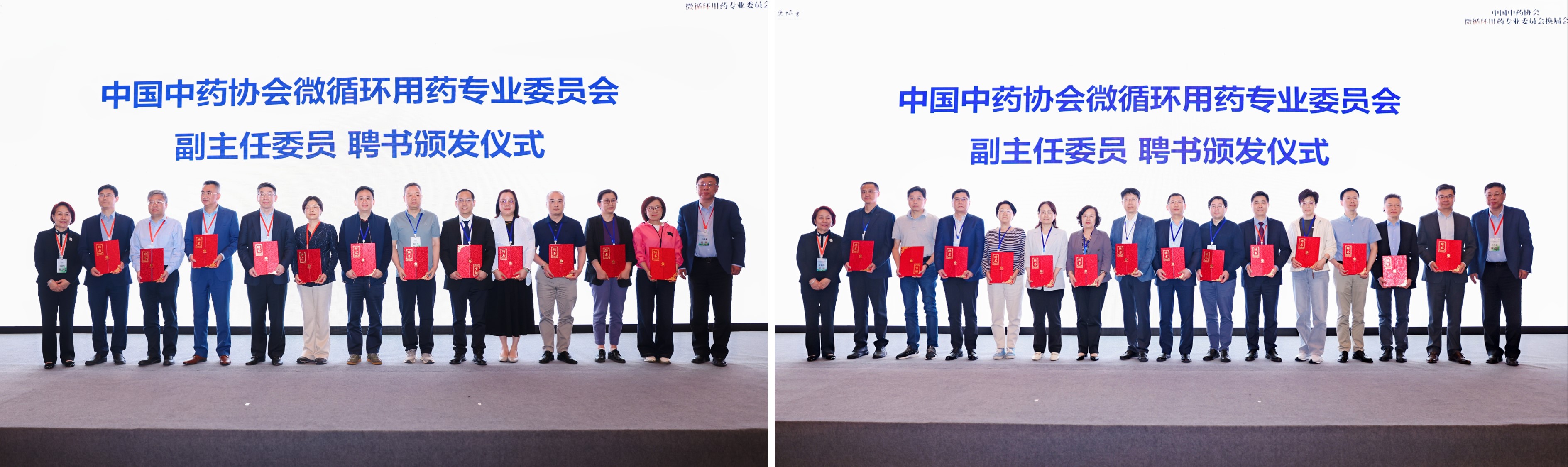副主任委员.jpg