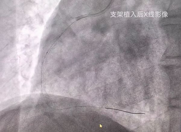 微信图片_20250627102341.jpg