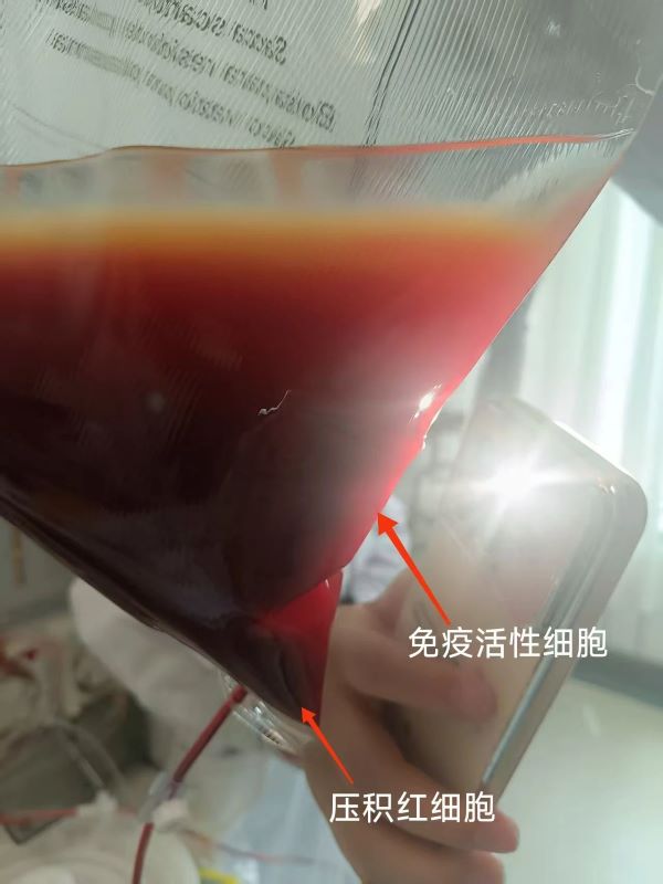 微信图片_2025-06-30_085242_311.jpg
